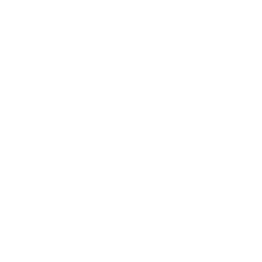 Icon representing website design, development, and project execution