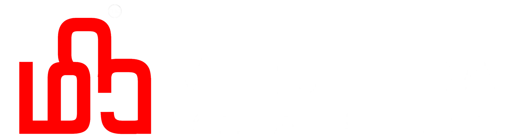 Miruthika Visual Studio